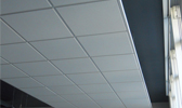 Large Image