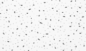 Large Image