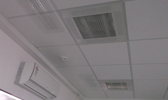 Large Image