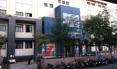 Large Image