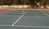 Large Image