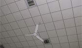 Large Image