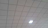 Large Image