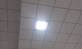 Large Image