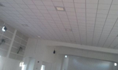 Large Image