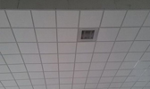 Large Image