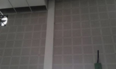 Large Image
