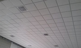 Large Image