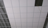 Large Image