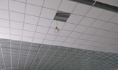 Large Image