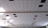Large Image