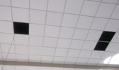 Large Image