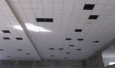 Large Image