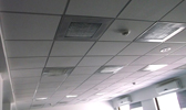 Large Image