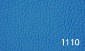 Large Image