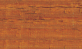 Large Image